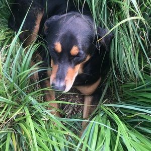 Meet your Posher, Catherine